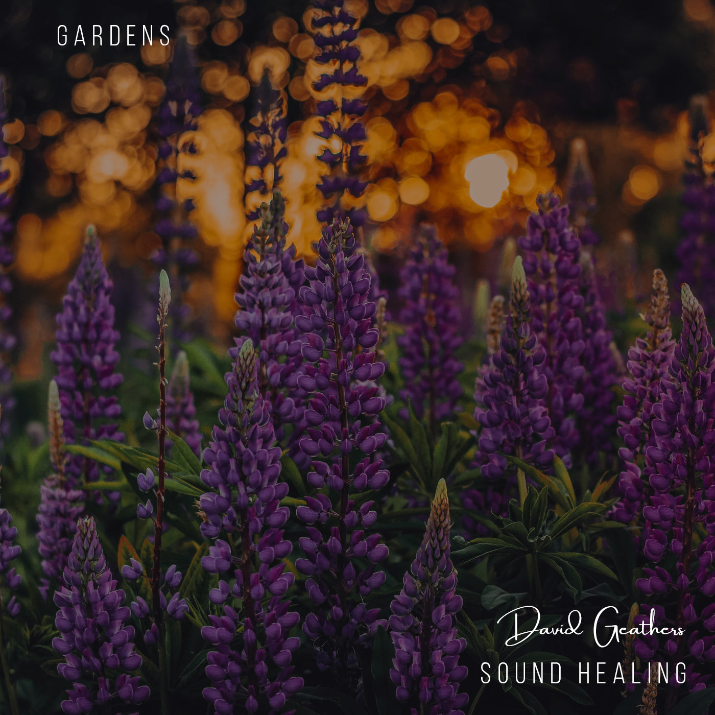 Gardens – Meditation & Sleep Music Audio